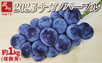 【先行予約】2025　ナガノパープル【訳あり粒抜け等】　房複数　約1キロ　長野県産  【9月下旬頃～順次発送予定】国際特許有機肥料栽培