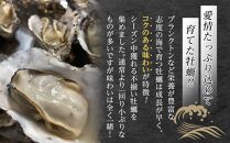 訳あり 大きさ不揃い殻付き牡蠣 4kg (加熱用)【牡蠣 かき 一口サイズ 食べやすい 国産 香川県 さぬき市】