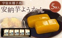 宇宙水種子島安納芋ようかん(5個入)【羊羹 ようかん 和菓子 安納芋 安納いも サツマイモ 芋 イモ いも お菓子 スイーツ お茶菓子 おやつ 種子島産 BS04】