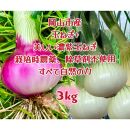 【先行予約】岡山市産 みずみずしい玉ねぎ1.5kgと赤玉ねぎ1.5kgのセット(サイズ混合)