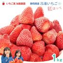 【冷凍】 静岡県産いちご 紅ほっぺ 1kg 苺 フルーツ