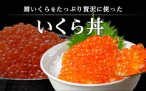 いくら醤油漬け 鱒卵 200g×2パック (合計400g)  【 いくら 小分けパック 鱒いくら 小粒厳選 いくら醤油漬け いくら醤油漬 北海道 小分け 海産物 魚介類 水産物応援 水産物支援 】