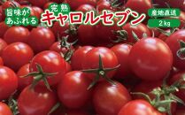 高糖度完熟ミニトマト 約2kg 【キャロルセブン】