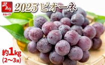 【先行予約】2025　ピオーネ 【訳あり粒抜け等】複数房　約1キロ　長野県産  【10月初旬頃～順次発送予定】国際特許有機肥料栽培