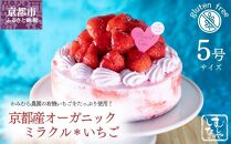 【むしやしない】京都産オーガニックミラクル＊いちご（5号）［ 京都 一乗寺 豆乳 スイーツ ケーキ グルテンフリー ヴィーガン アレルギー対応 人気 おすすめ 苺 いちご ホールケーキ お菓子 お取り寄せ 通販 ふるさと納税 ］