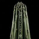 【先行予約】 天空のアスパラガス 「訳あり」1ｋｇ 【２０２５年４～５月頃発送】