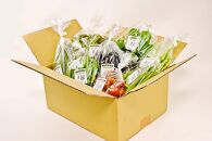 7・8・9月　計3回定期便　北海道産旬の無農薬栽培　野菜の詰め合わせ6～8種類 【 サニーレタス 水菜 チンゲンサイ さやえんどう スナップエンドウ さやいんげん ささぎ豆 春大根 ズッキーニ なす トマト きゅうり ししとう なんばん オクラ カボチャ じゃがいも にんじん 北海道産 無農薬栽培 野菜セット 季節の野菜 新鮮 お取り寄せ 野菜ボックス 安全 安心 野菜直送 人気 旭川市 】_04701