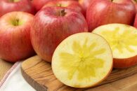 【2025年発送】一度は食べてみたい！高徳りんご　約2kg（5～12玉）