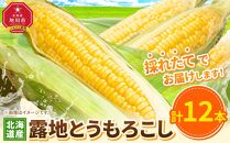 【先行予約】露地とうもろこし　合計12本　2025年8月下旬から発送開始予定 【とうもろこし 人気 北海道産 糖度 生 野菜 スイートコーン 産地直送 バーベキュー BBQ コーン 旬 お取り寄せ 旭川市 北海道 】_04755