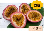 【2025年夏発送】パッションフルーツ (2kg24個入りバラ詰) 2025年6月～出荷開始 リリコイ 南国フルーツ デザート 人気 鹿児島県  与論町　