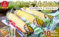 白と黄色のとうもろこし10本セット（真空パック）【 白いとうもろこし 人気 糖度 野菜 スイートコーン バーベキュー BBQ コーン お取り寄せ 旭川市 北海道 】_04804