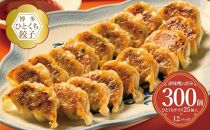 博多ひとくち餃子（25個入り）×12パック