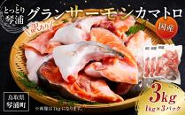 【数量限定】訳あり 国産 とっとり 琴浦 グラン サーモン カマトロ 3kg（1kg×3パック）