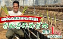 【6月上旬頃～発送】アスパラガス (さぬきのめざめ) 夏芽 1kg カトちゃん農園