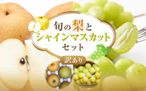 955.【訳あり】シャインマスカット（350ｇ前後）と旬の梨（5玉）セット≪ぶどう、マスカット、ブドウ、葡萄、なし 果物 フルーツ くだもの 鳥取県北栄町≫※8月下旬頃～9月中旬頃に順次発送