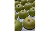 二十世紀梨 2.5kg【たにがみ農園】