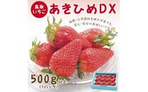あきひめDX 500g 鳥取いちご【とみハウス】