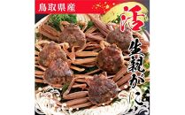 鳥取県産 生親がに【中村商店】