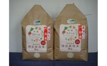【先行予約】鳥取県産特別栽培米こしひかり ( 10kg )【2025年9月上旬稲刈り後出荷】