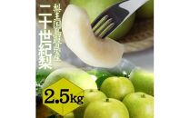 鳥取県産 二十世紀梨2.5kg 訳あり【フォーシーズン】