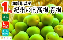 [2025年6月上旬出荷] 青梅 南高梅 約1kg 秀品 LまたはMサイズ 和歌山県産 A品 梅酒作り用 梅ジュース作り用