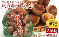 【JAみなみ魚沼定期便】家庭用「八色しいたけ」（750g×全3回） 訳あり 不ぞろい 農家応援 厚いにもほどがある