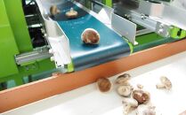 【JAみなみ魚沼定期便】家庭用「八色しいたけ」（1.5kg×全9回） 訳あり 不ぞろい 農家応援 厚いにもほどがある
