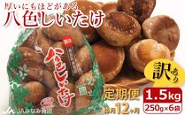 【JAみなみ魚沼定期便】家庭用「八色しいたけ」（1.5kg×全12回） 訳あり 不ぞろい 農家応援 厚いにもほどがある