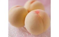 清水白桃 5 玉（約1.3kg）【数量限定500セット】【白桃 桃 もも フルーツ 果物 数量限定 岡山県 おすすめ 人気 新鮮】