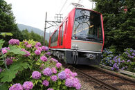 【箱根町】箱ぴたふるさと宿泊補助券（150,000円分） | 旅行 観光 旅行券 旅行クーポン クーポン 箱根町ふるさと納税 神奈川県ふるさと納税 神奈川県 箱根町