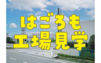【7月31日(木）午前開催】体験企画「シーチキン工場見学」親子ペアチケット◆お土産付き