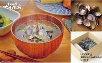 宍道湖産大和しじみ 合わせ味噌汁(簡易タイプ)20食入