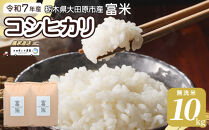 【先行予約】≪10月中旬以降発送≫令和7年産 栃木県大田原市産コシヒカリ「富米」 無洗米 10キロ ｜米 お米 新米 無洗米 コメ こしひかり 10kg