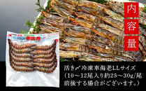 【お中元用】活き〆冷凍車海老　300g（LLサイズ）10～12尾入り