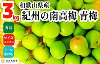 【2025年6月上旬出荷】青梅 南高梅 3kg 秀品 サイズミックス  和歌山県産 A品 梅酒作り用 梅ジュース作り用