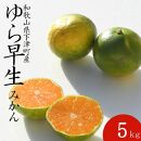 ゆら早生みかん 約5kg 小粒2S・3S混合 《秀品》 和歌山県産 農園直送 まごころ産直みかん【北海道・沖縄県・一部離島 配送不可】果物 柑橘 由良早生 小玉 味が濃い 極早生みかん