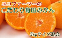 エコファーマーのこだわり有田みかん5kg（サイズ混合）★2025年11月中旬頃より順次発送