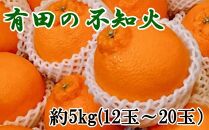  ［濃厚］有田の不知火約5kg（12～20玉）★2026年2月中旬頃より順次発送［TM33w］