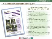【高野町内限定】お墓参り代行サービス（1回）仏花・写真入り報告書付き