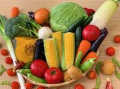 川崎市市内産新鮮野菜・農産物詰め合わせ