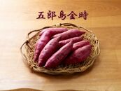 五郎島金時　3kg入  石川 金沢 加賀百万石 加賀 百万石 北陸 北陸復興 北陸支援