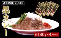 大田原牛 100％ 黒カレー 4パックセット | レトルト カレー 和牛  牛肉 ビーフカレー 高級 