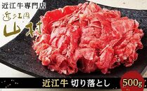 近江牛 切り落とし 500g