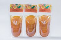【ギフト用】＜特産品コンクール優秀賞受賞＞屋久島たんかんスライスママレード２個セット