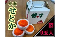 甘っ子 小玉 ハウス せとか 9玉入 手さげ箱 南泰園