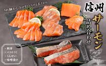 信州サーモン詰め合わせ　鮭 サケ サーモン 切り身 刺身