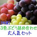 農家直送 ３色ぶどう詰め合わせ大人気セット 約2kg入り 【先行予約】