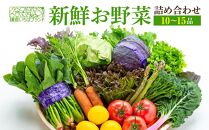 「鎌倉いちばブランド」新鮮お野菜詰め合わせセット 10～15品 | 人気 野菜 詰合せ 詰め合わせ セット 新鮮野菜 詰め合わせセット 野菜セット 季節の野菜 鎌倉野菜 地元産 お取り寄せ おすすめ 送料無料 神奈川 鎌倉