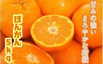 【令和4年1月配送】甘さ凝縮「ポンカン」5kg
