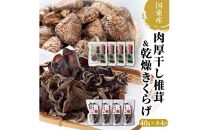 A29060 国東産の肉厚干し椎茸（どんこ）＆乾燥きくらげ・通